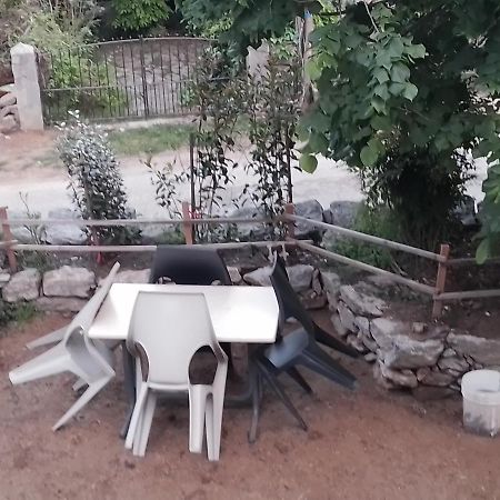 Maison De Caractere Au Coeur De La Corse Rurale Calacuccia Exterior foto